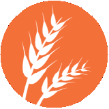 CONTIENE GLUTEN