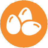 HUEVOS